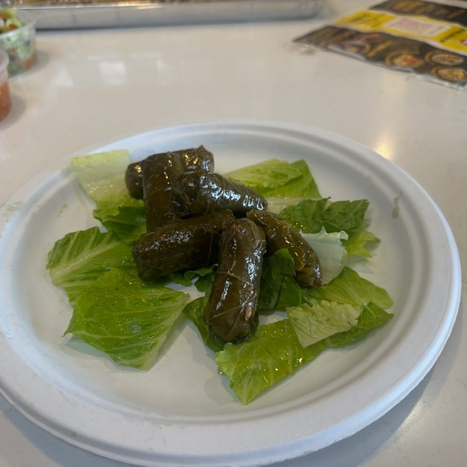 Grape leaves, a Mediterranean dish from Grill Kabob, served on a bed of fresh lettuce.